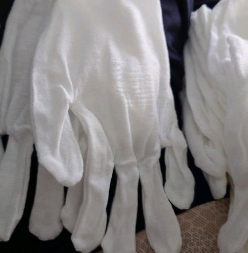 Coin collector handling gloves - collector,
